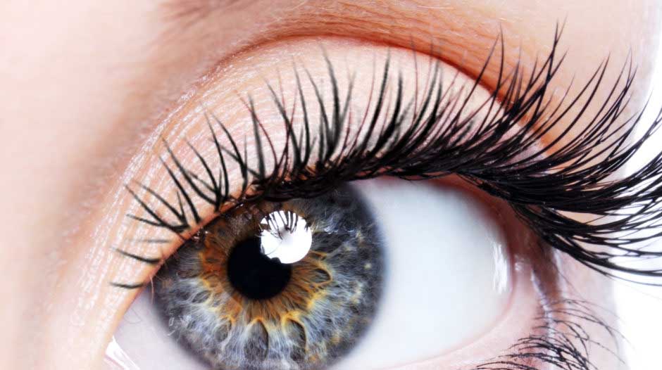 What is the best oil to grow eyelashes?