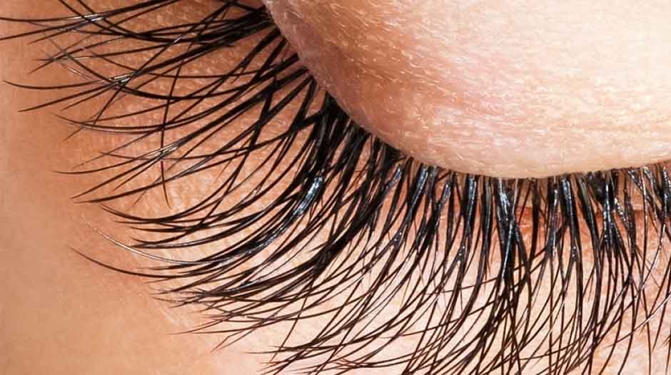 Why do guys have longer eyelashes?